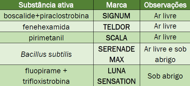 Doenças mirtilos