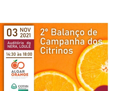 2º Balanço da campanha dos citrinos marcado para 3 de novembro