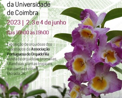 2ª exposição internacional de orquídeas de Coimbra