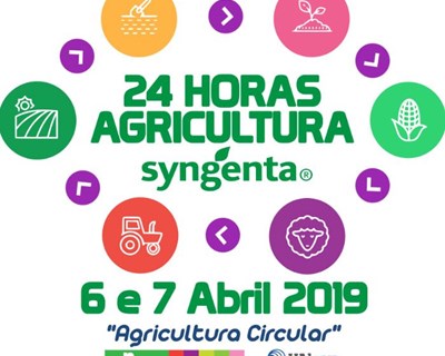 24H Agricultura: estudantes de 13 escolas e universidades em competição formativa em Faro