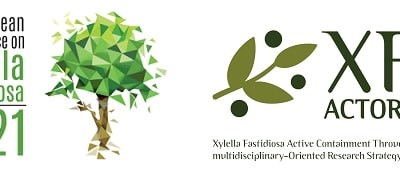 3ª Conferência Europeia sobre Xylella fastidiosa tem inscrições abertas