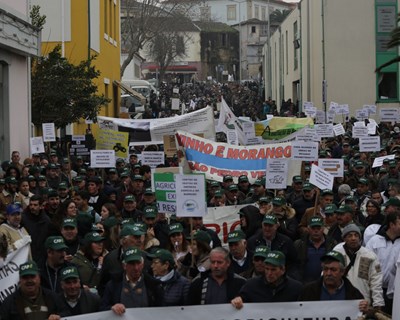 5 mil agricultores manifestaram-se em Mirandela "contra a incompetência de quem nos governa"