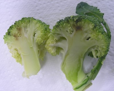 A Alternariose da couve-brócolo