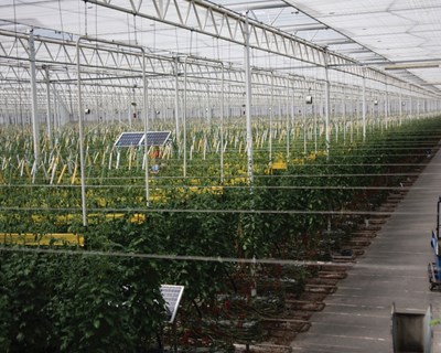 A eficiência energética na Agricultura de Precisão