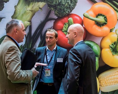 «A Fruit Attraction é um elemento dinamizador no setor de frutas e legumes na Europa»