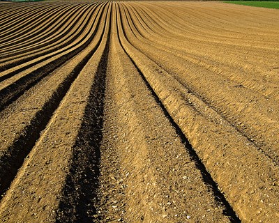 A importância da matéria orgânica na produtividade dos solos –  Estudo de caso em horticultura biológica - Bibliografia