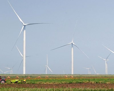 A importância dos setores agrícola e florestal na produção de energia renovável