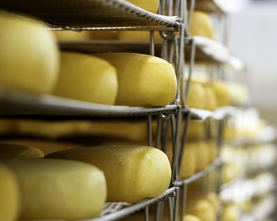 A valorização da fileira dos queijos da região Centro em tempos de pandemia