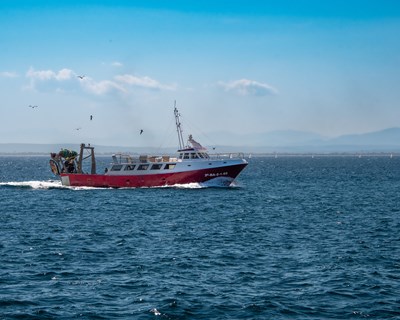 Abertas candidaturas de apoio à transição energética e redução do impacto ambiental para empresas do setor da Pesca e da Aquicultura