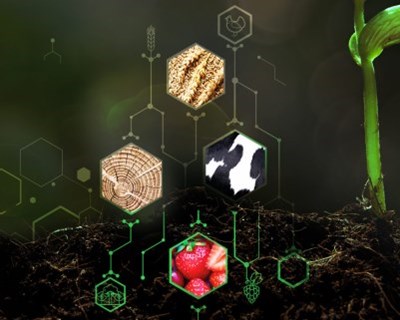 Abertas candidaturas para a 4.ª edição do “Prémio Empreendedorismo e Inovação Crédito Agrícola”