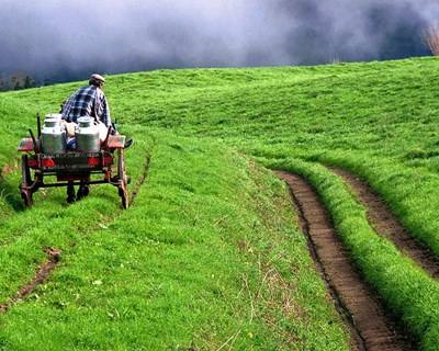 Açores aprova reformas antecipadas para os agricultores