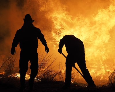 ACOS solidária com agricultores dos concelhos devastados pelos incêndios