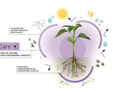 ADP Fertilizantes lança novo negócio de produtos biotecnológicos