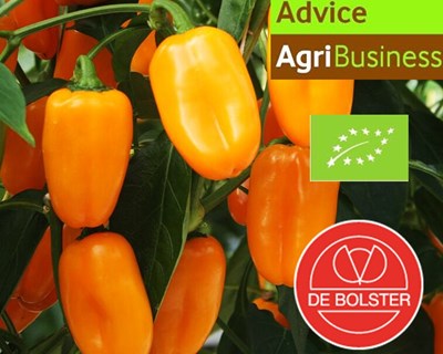 Advice.AgriBusiness divulga online a sua tabela de preços de sementes biológicas
