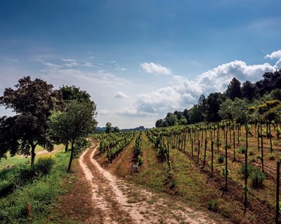 Agrária de Coimbra dá formação em Fertilidade do Solo e Compostagem