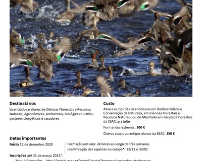 Agrária de Coimbra ministra curso de gestão de aves aquáticas cinegéticas