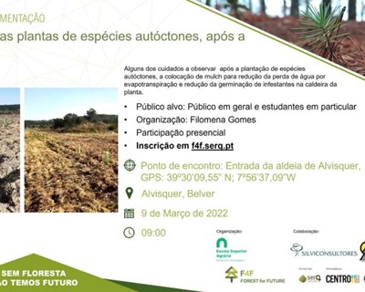 Agrária de Coimbra promove ação de proteção de plantas autóctones