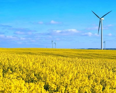 Agri Innovation Summit: inovação na Agricultura em Oeiras