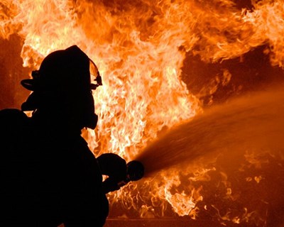 Agricultores já podem reportar os prejuízos no âmbito do incêndio em Monchique e Portimão