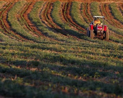 Agricultores portugueses satisfeitos com a reposição da medida Electricidade Verde