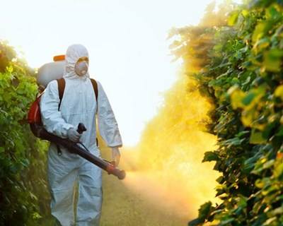 Agricultores sem formação podem aplicar fitofármacos até maio