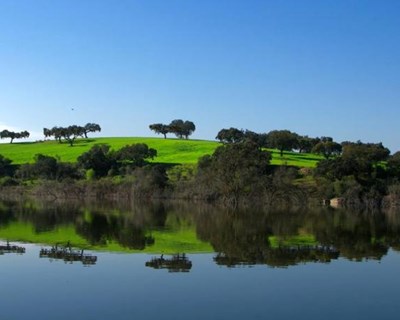 Agricultura: €500 milhões em programa de regadio até 2020