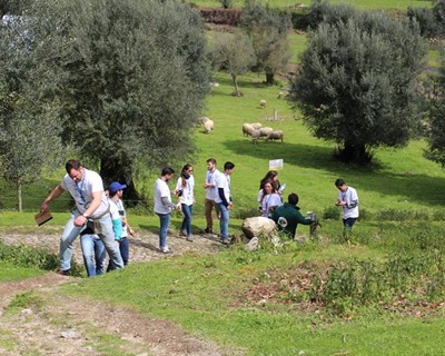 Agricultura circular dá o mote à edição 2019 das "24H Agricultura Syngenta"
