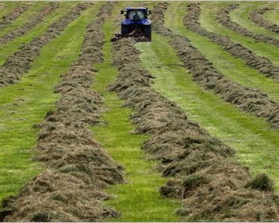 Agricultura da UE perdeu 2,2 mil milhões em 12 meses com embargo russo