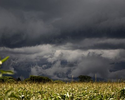 Agricultura deve investir na luta contra a irregularidade do clima