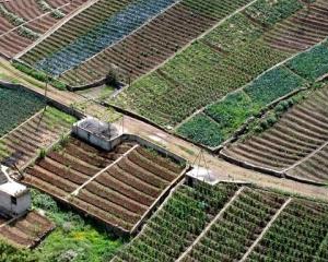 Agricultura madeirense cresce 60% em 12 anos