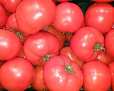 AGRIMARKETS apresentado em Santarém