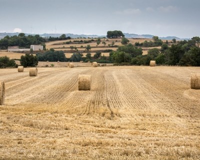 Agrogarante promove Fórum “Conversas de Agricultura” a 7 de junho