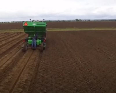 Agroglobal: Porbatata instala ensaio de variedades de batata indústria
