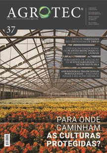 Agrotec 37 questiona: Para onde caminham as agriculturas protegidas?