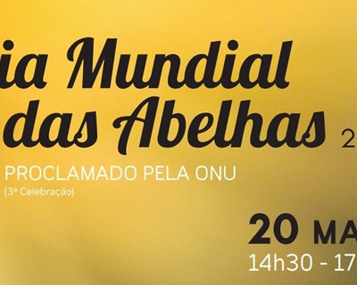 Aidos da Vila promove 3ª celebração o Dia Mundial das Abelhas