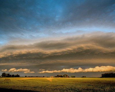 Alfândega da Fé recebe parceiros internacionais para mitigar alterações climáticas