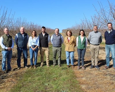 Alltech Crop Science e Agrobeja debatem a importância do solo na cultura do amendoal