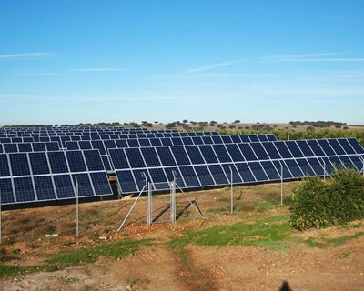 Alter do Chão: irrigação fotovoltaica de alta potência em debate