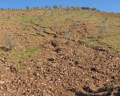 Alterações climáticas e degradação do solo no interior de Portugal - Cocktail explosivo para culturas perenes