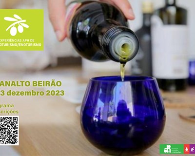 APH organiza a 2ª edição das Experiências de Olivoturismo/Enoturismo de 1 a 3 dezembro no Planalto Beirão