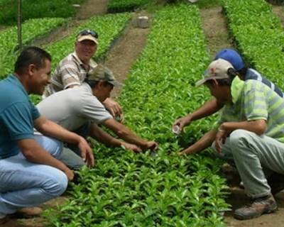 APH organiza I Colóquio Nacional de Horticultura Social e Terapêutica