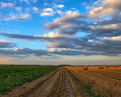 Apoio acrescido aos agricultores da UE graças aos fundos de desenvolvimento rural