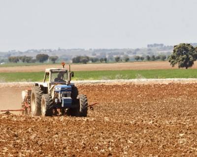 Apoios ao investimento agrícola “estão garantidos”