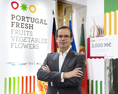Aposta nos mercados internacionais leva 50 empresas portuguesas de frutas e legumes à maior feira do setor