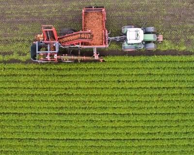 Apresentado estudo sobre o impacto dos acordos comerciais da UE no setor agrícola