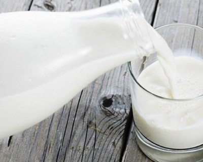 APROLEP avisa: "O Primeiro-ministro tem de intervir com urgência na crise do leite"