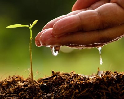 Aproveitar a mão-de-obra livre para a agricultura