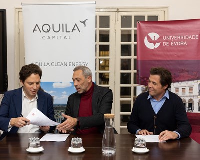 Aquila Clean Energy e Universidade de Évora vão estudar as melhores espécies para cultivar na Central Solar do Cercal