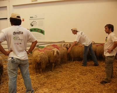 APH põe à prova conhecimento dos estudantes de agronomia