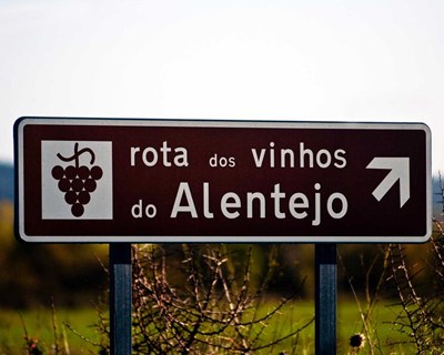 Associação Portuguesa de Horticultura promove visita vitivinícola